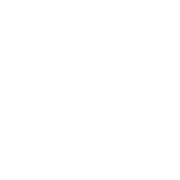 ����Ͷ��